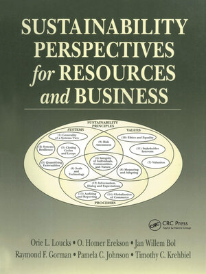 cover image of Sustainability Perspectives for Resources and Business